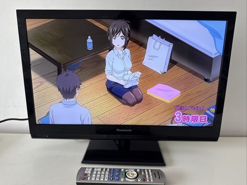 Panasonic l24xm6b lcd - 24",